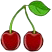 cherry